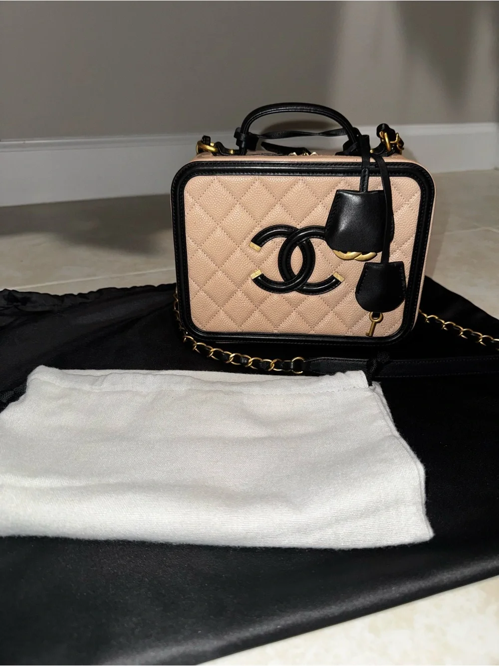 CHANEL Medium Quilted Vanity Crossbody Bag with Gold Hardware